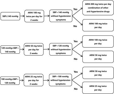 Effect of sacubitril/valsartan on sinus rhythm maintenance after catheter ablation in patients with persistent atrial fibrillation without reduced ejection fraction heart failure: a study protocol for a multi-center, open-label, randomized, controlled, superiority clinical trial